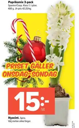 Coop Extra Hyacint, SEK 15 erbjuda