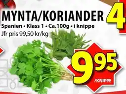 Matvärlden Tensta MYNTA/KORIANDER, SEK 9.95 erbjuda