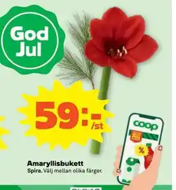 Stora Coop Amaryllisbukett, SEK 59 erbjuda