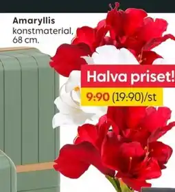 Rusta Amaryllis erbjuda