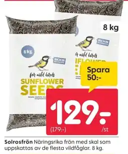 Rusta Solrosfrön erbjuda