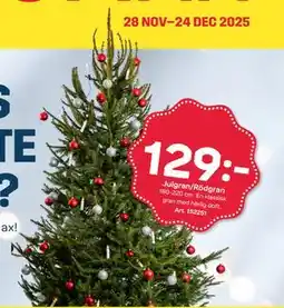 Byggmax Julgran/Rödgran, SEK 129 erbjuda