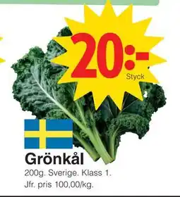 Matöppet Grönkål, SEK 20 erbjuda