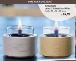 Citti Tenderflame Lotus 12 Natural oder White erbjuda