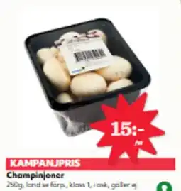 Hemköp Champinjoner erbjuda