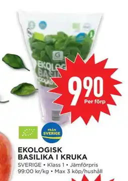 Willys EKOLOGISK BASILIKA I KRUKA, SEK 9.9 erbjuda