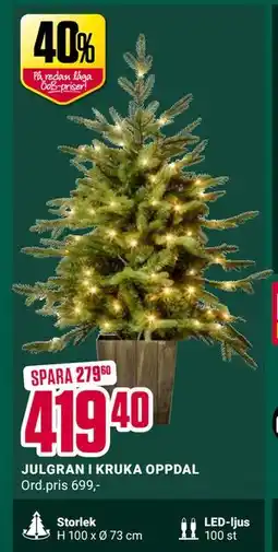 ÖoB JULGRAN I KRUKA OPPDAL, SEK 419.4 erbjuda