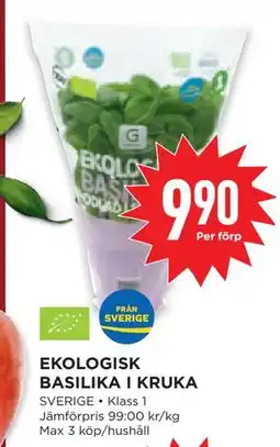 Willys Hemma EKOLOGISK BASILIKA I KRUKA, SEK 9.9 erbjuda