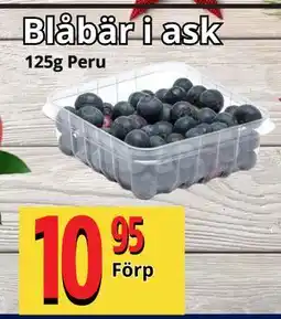 Supergrossen Blåbär i ask, SEK 10.95 erbjuda