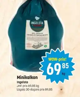 Eurocash INGELSTA Minikalkon erbjuda