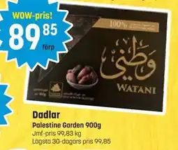 Eurocash PALESTINE GARDEN Dadlar erbjuda