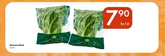 Snabbgross Romansallad erbjuda