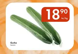 Snabbgross Gurka erbjuda