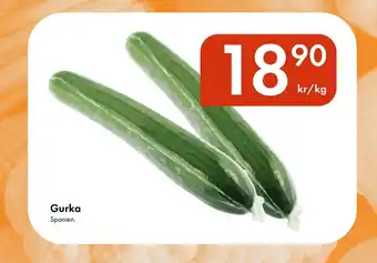 Snabbgross Gurka erbjuda