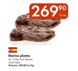 Snabbgross Iberico pluma erbjuda