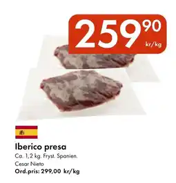Snabbgross Iberico presa erbjuda