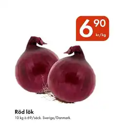 Snabbgross Röd lök erbjuda