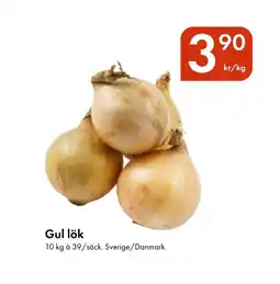 Snabbgross Gul lök erbjuda