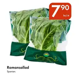Snabbgross Romansallad erbjuda