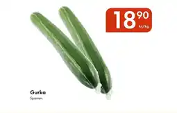 Snabbgross Gurka erbjuda