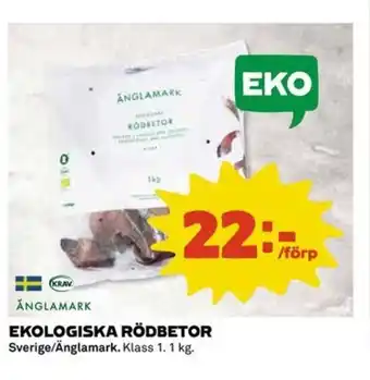 Ekologiska rödbetor