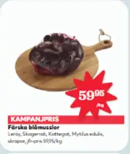Hemköp Färska blåmusslor erbjuda