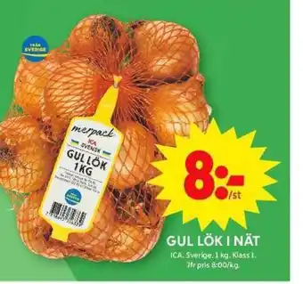 ICA Maxi Gul lök i nät erbjuda