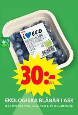 ICA Maxi Ekologiska blåbär i ask erbjuda