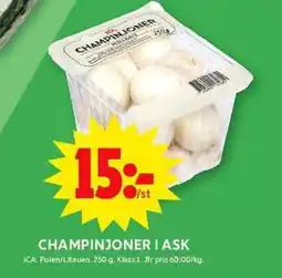 ICA Maxi Champinjoner i ask erbjuda