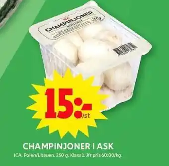 ICA Maxi Champinjoner i ask erbjuda