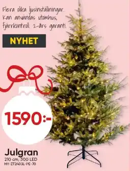 DollarStore Julgran erbjuda