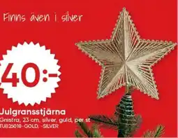 DollarStore Julgransstjärna erbjuda
