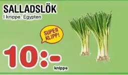 Nya Pulsen Salladslök erbjuda