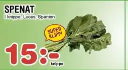 Nya Pulsen Spenat erbjuda