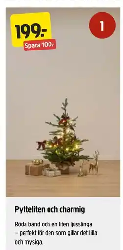 Jula Pytteliten och charmig erbjuda