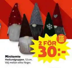Stora Coop Minitomte erbjuda