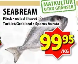 Matvärlden Tensta SEABREAM erbjuda