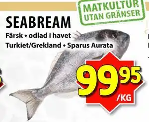 Matvärlden Tensta SEABREAM erbjuda