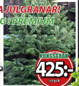 Extra Mjällby Stormarknad Kungsgran erbjuda