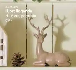 ÖoB Hjort liggande erbjuda