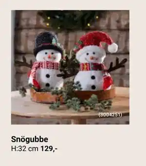 ÖoB Snögubbe erbjuda