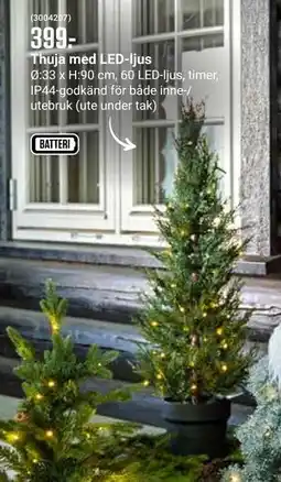 ÖoB Thuja med LED-ljus erbjuda