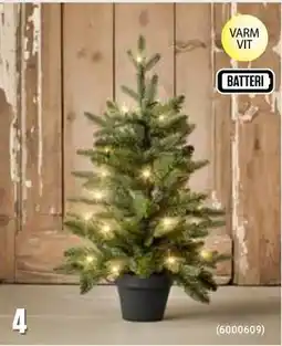 ÖoB Prydnadsgran Alta erbjuda