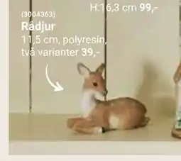 ÖoB Rådjur erbjuda