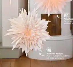 ÖoB Julstjärna Bellatrix erbjuda