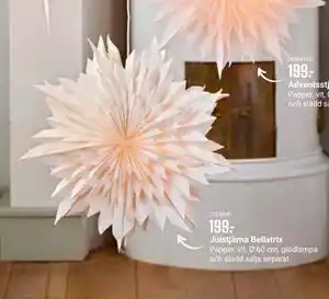 ÖoB Julstjärna Bellatrix erbjuda