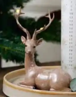 ÖoB Hjort liggande erbjuda