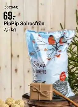 ÖoB PipPip Solrosfrön erbjuda