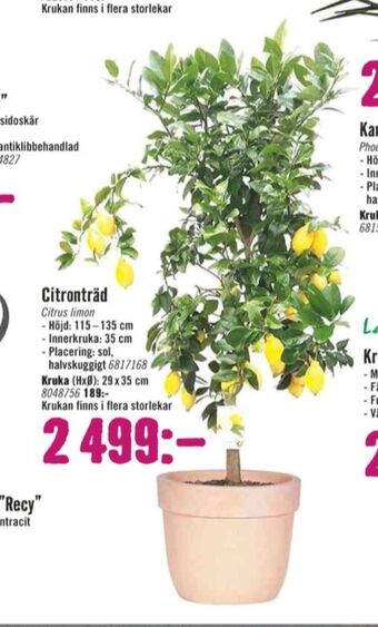 Hornbach Fruktträd erbjuda