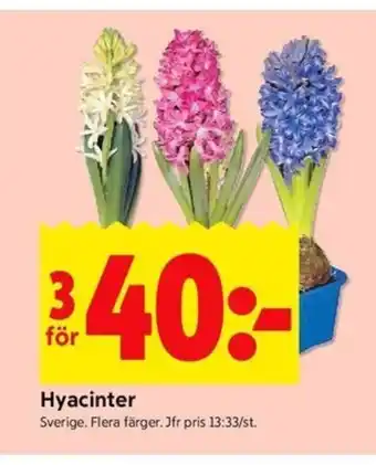 ICA Kvantum Hyacinter erbjuda